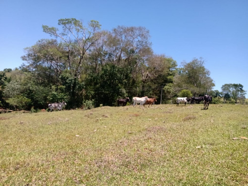 Imagem 16 de 20 de Sítio 6 Alqueires Em Angatuba Sp, Oportunidade... Com 2 Casas Sede E Caseiro... Sede 4 Quartos 3 Wc, Cozinha Sala Copa Lavanderia Garagem Para Até 3 Veículos, Barracão De Trato E L - St00008 - 687704