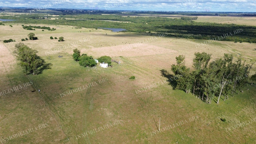 Campo Con Casa En Venta 65 Hectáreas