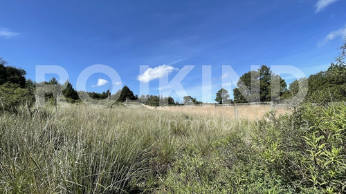 Imagen 5 de 27 de Terreno En Venta Salazar, Estado De México