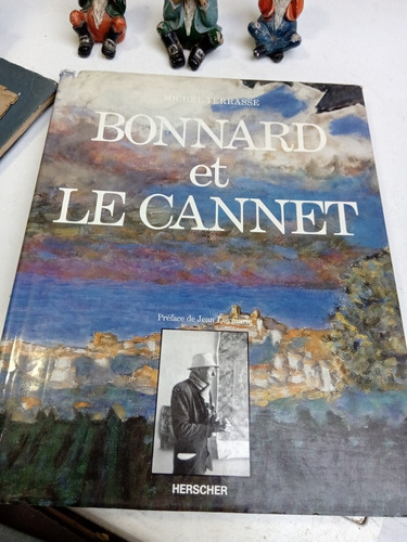 Bonnard Et Le Cannet Michel Terrasse Herscher 