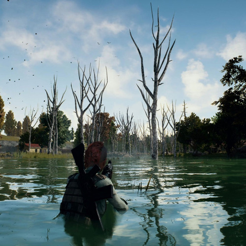Playerunknown's Battlegrounds, Playstation 4, Físico (Reacondicionado)