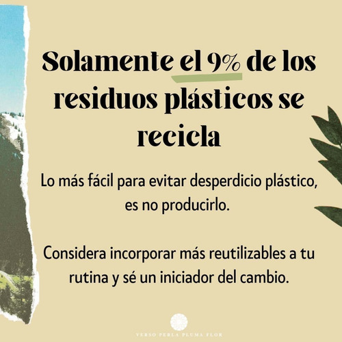 Shampoo Y Acondicionador Sólido Kit Ecoamigable Zero Waste