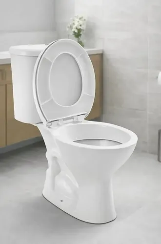 Foto real de Vaso Sanitario Caixa Acoplada Hervy Loucas