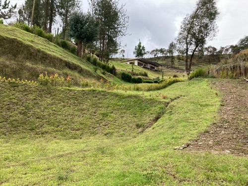 Imagen 4 de 12 de Lote En Vender En Guarne