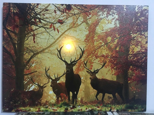 Cuadro Bosque Y Venado De 40cm X 30 Con Pila Iluminado