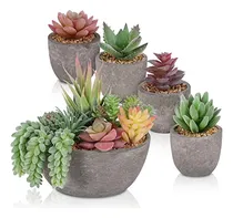 Comprar 5 Piezas De Suculentas Falsas Macetas, Mini Suculentas ...