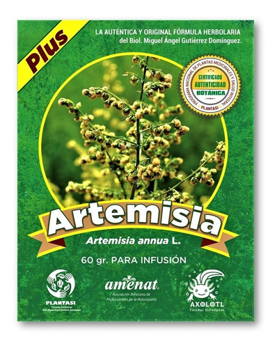 50 Gr Artemisia Annua Autentica De Cultivo Organico