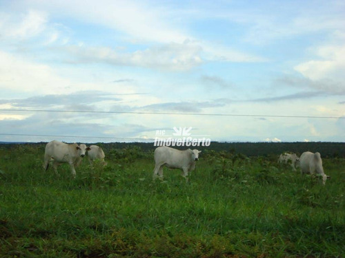 Imagem 2 de 28 de Fazenda À Venda, 19690000 M² Por R$ 24.000.000,00 - Zona Rural - Sapezal/mt - Fa0003