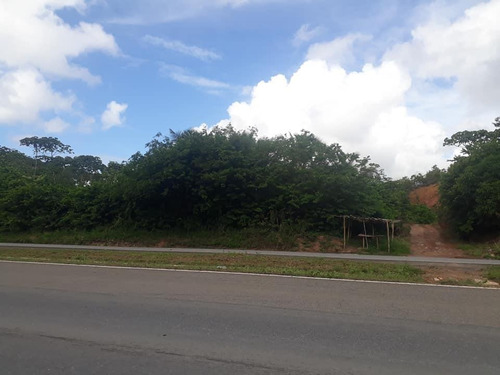 Imagem 4 de 10 de Área Em Centro, Cabo De Santo Agostinho/pe De 21000m² Para Locação R$ 3.000,00/mes - Ar562808-r