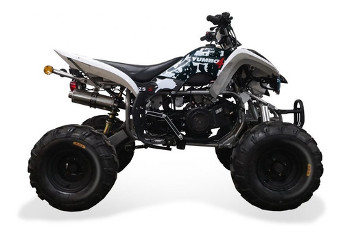 Yumbo Skua 200 Racer 200 Gs200 Benelli Tnt (creditos )