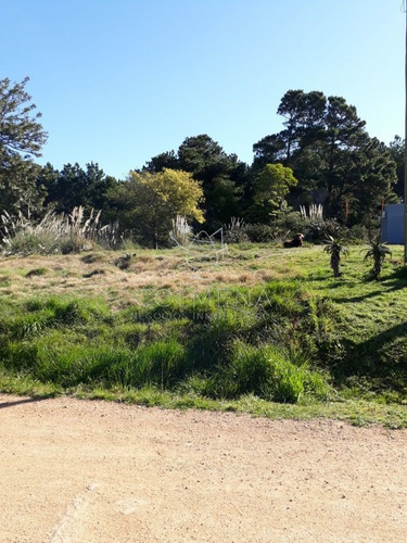 Imagen 3 de 6 de Terreno Próximo A La Costa En Piedras Del Chileno - Punta Del Este Piedras Del Chileno