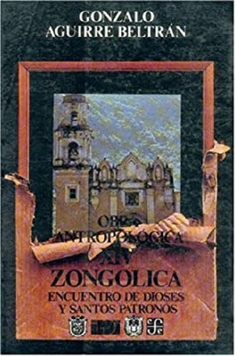 Obra Antropologica Xlv Zongolica Gonzalo Aguirre Beltran (8)