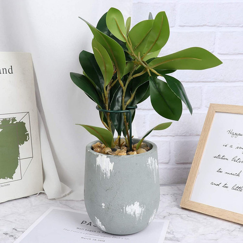 16 Piezas Anillos Estacas De Soporte De Planta Tallo Único