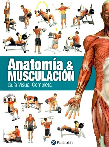 Anatomía & Musculación. Guía Visual Completa