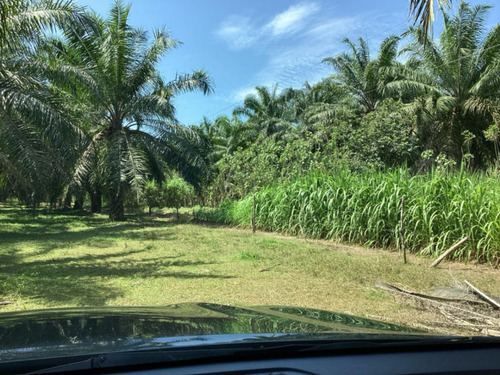 En Venta Hermosa Finca En Parrita