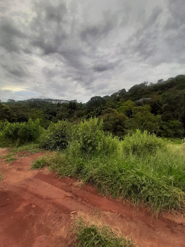 Tenho Bons Terrenos Á Venda !