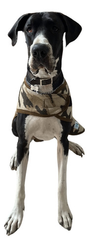 Abrigo Para Mascota Delgado Beige Militar Xl