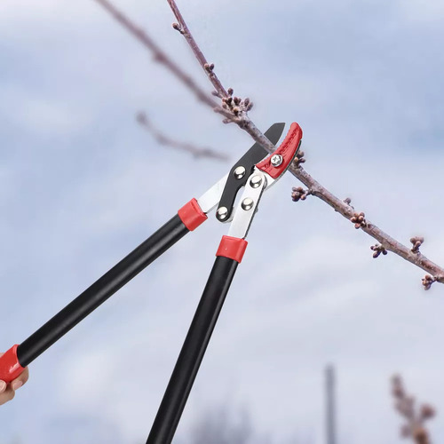 Podadora De Ramas De Jardín, Árboles, Tijeras Para Podar