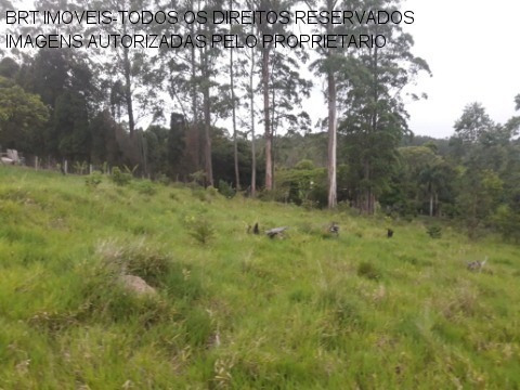 Imagem 5 de 22 de Terreno - Te00125 - 34466729