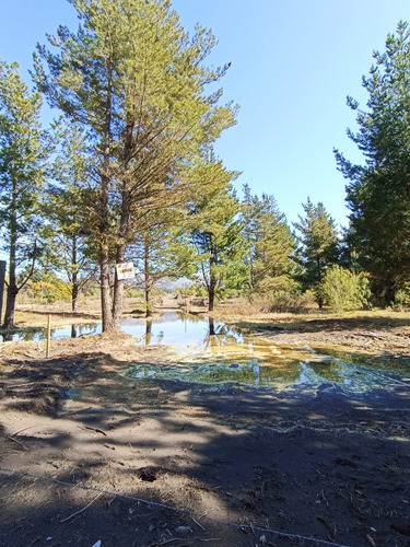 Sitios El Arrayan , Ruta O 60 Km 17 Cam Unihue Talcamavida
