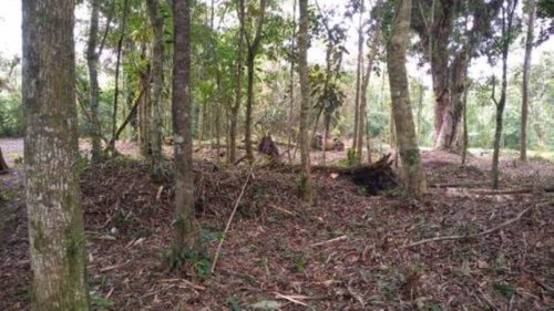 Terreno De Chácara No Jardim Coronel, Em Itanhaém - 7016