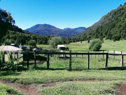 Se Vende Hermoso Campo De 32,5 Hectárea, El León Comuna De C