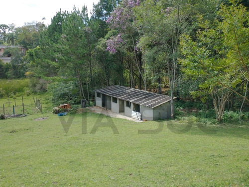 Imagem 19 de 30 de Sítio De 3,5 Alqueires, Excelente Localização! Com Área Aberta Para Criação Recreativa E Mata Nativa Para Trilha E Caminhada.. - 237 - 69821549