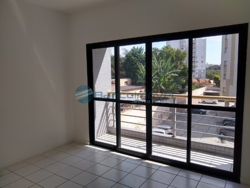 Imagem 4 de 30 de Apartamento Para Locação Em Campinas - Ap02672 - 67801861