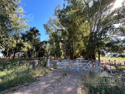 Campo En Venta - 58 Hectáreas- Saladillo