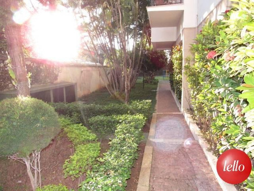 Imagem 30 de 30 de Apartamento - Ref: 214368