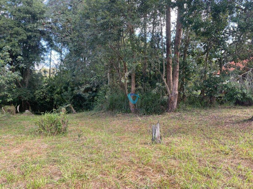 Imagem 13 de 14 de Terreno À Venda, 1683 M² Por R$ 3.875.000,00 - Alphaville - Barueri/sp - Te0546