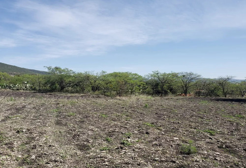 Terreno En Venta En Pie De Gallo