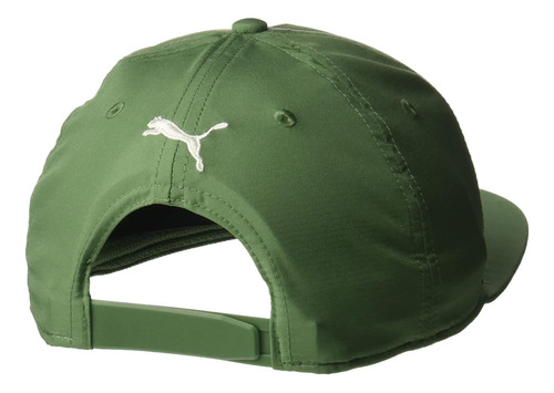Puma Gorro Mercedes Benz Amg Mapf1 Fb Adjustable 02406203