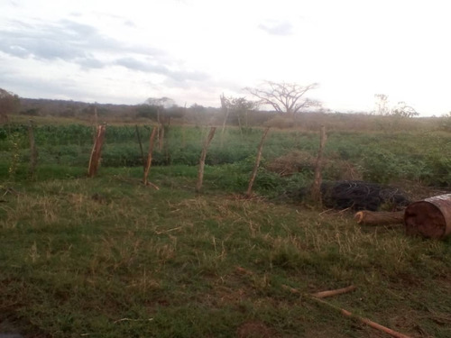 Imagen 5 de 9 de Vendo Finca Productiva En Pariaguan Edo. Anzoategui - Venezuela