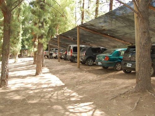 San Rafael, Mendoza. Complejo A La Vera Del Río Atuel.
