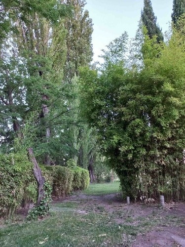 Imagen 13 de 15 de Casa Quinta Para Disfrutar En Familia, Capacidad 16 Personas