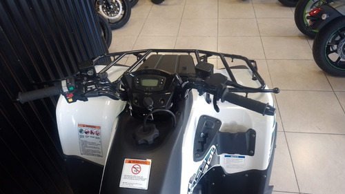 Imagen 3 de 15 de Kawasaki Brute Force 300// 4x2 Ahora 12 Y 18/no Honda Yamaha
