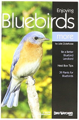 Bird Watchers Digest 315 Disfrutando De Bluebirds Más Por