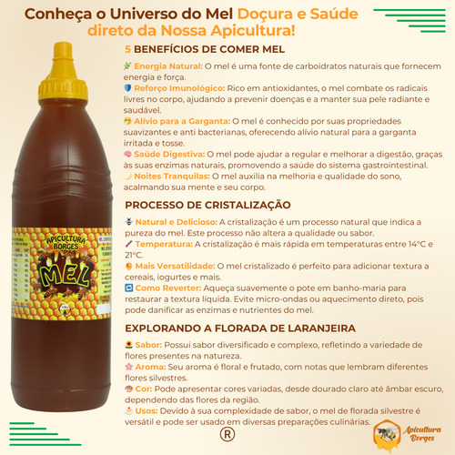 Mel Puro Mel de Abelha Apicultura Borges Bisnaga 1 Litro 1.4 Kg Florada Silvestre