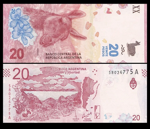 Billete De Argentina