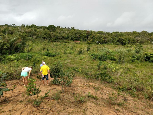 Imagem 4 de 15 de Sítio / Chácara Para Venda Em Camaçari, Barra Do Pojuca - 508_1-1292134