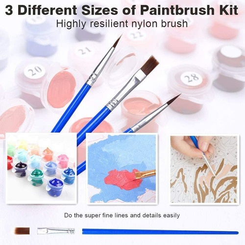 Pintura Al Óleo De Bricolaje Sobre Lienzo Por Número Kit Dan
