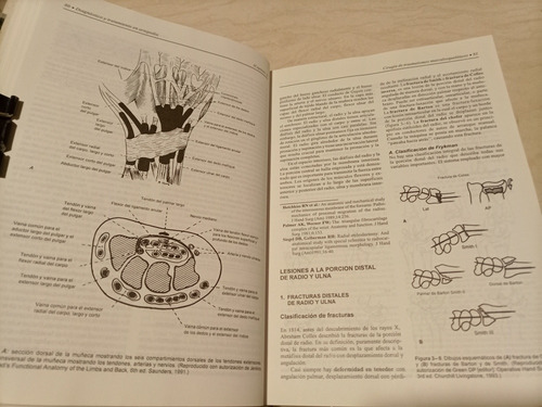 Libro. Diagnóstico Y Tratamiento En Ortopedia (Usado)