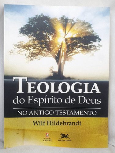 Livro Teologia Do Espírito De Deus No Antigo Testamento - Wilf Hildebrandt