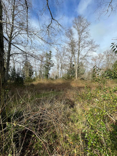 Parcela 6300m2 Arboles Nativos (105986)