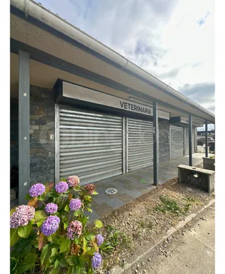 Local en arriendo