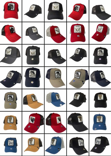 Imagen 2 de 10 de Gorras De Animales Tipo Goorin Bros Lote 12 Pz Play New York