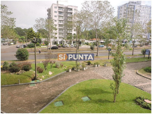 Imagen 8 de 30 de Apartamento En Venta