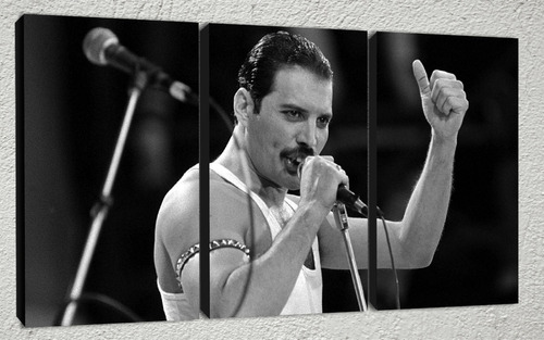 Cuadros Modernos Musica Queen Freddie Mercury 90x57 Cm A17