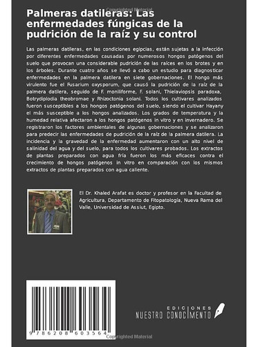 Palmeras Datileras: Las Enfermedades Fungicas De La Pudricio